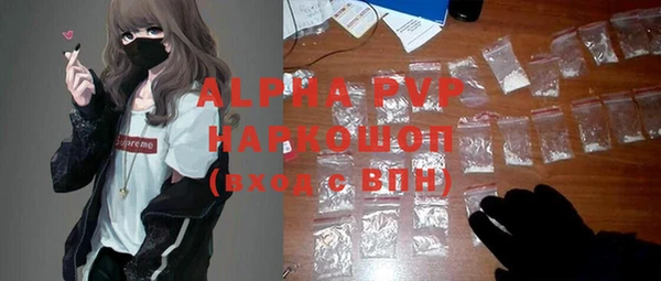 гидра Белокуриха
