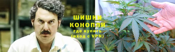 трава Беломорск