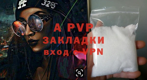 гидра Белокуриха