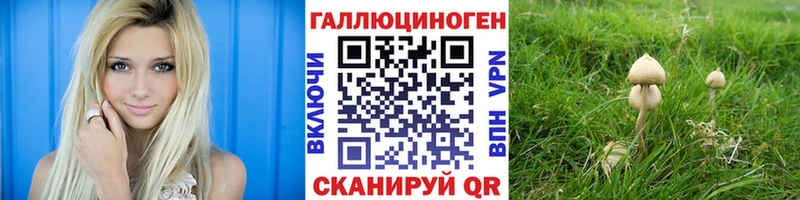 Галлюциногенные грибы мицелий  Гаврилов-Ям 